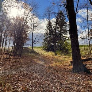 Meet your Posher, KYed Clothes